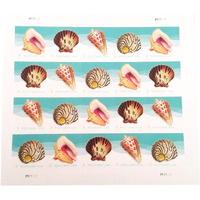 Usps Seashells Postcard Stamps, Sheet Of 20