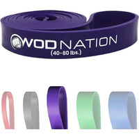 Single Pull Up Assistance Band (40-80Lbs Purple Band) - Best For Pullup Assist, Chin Ups, Resistance Bands Exercise, Stretch, Mobility Work & Serious Fitness - 41 Inch Straps