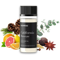 Scentia Hotel Diffuser Oil Inspired By The Delano Beach Club Hotel Scent - 50 Ml 1.69 Fl Oz - Fragrance Oil Blend Orange, Green Tea & Jasmine For Aromatherapy Diffusers - California Breeze