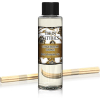 Urban Naturals Gingerbread Cookie Scented Reed Diffuser Oil Refill | Fall Collection | Warm Vanilla, Nutmeg, Cinnamon & Ginger | Great Autumn Scent! | Made In The Usa