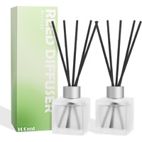 Aeeteek Reed Diffuser, Sea Salt & Green Tea Scented Oils, 100Ml Air Freshener Essential Oil Set With Diffuser Sticks, Long Lasting Home Fragrance For Bedroom Office Shelf Bathroom Decor (2-Pack)