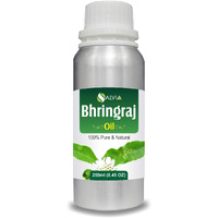 Salvia Bhringraj Oil (Eclipta Alba) - Undiluted Uncut Cold Pressed Premium Oil (500Ml (16.9 Fl Oz))