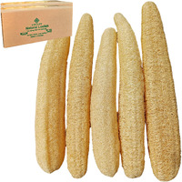 5 Pcs (16 - 18 Inches) Natural Loofah Sponge | Organic Loofah | Shower Loofah Exfoliating Body Scrubber | Bath For Loofah For Men And Women | (5 - Pack)