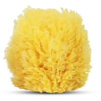 Hartfelt Exfoliating Grass Sea Sponge 4In | Natural Exfoliating Body Scrubber Sponge For Shower For Women And Men