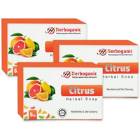 Herboganic Citrus Herbal Soap | Pack Of 3 Of 5Oz Soap Bar | Natural Bar Soap For Face And Body | Hydrating And Nourishing | Suitable For Men And Women