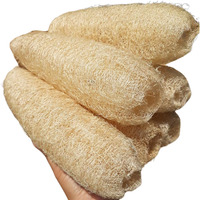 5 Pcs (7 - 10 Inches) Shower Loofah Exfoliating Body Scrubber | Natural Loofah Sponge | Bath For Loofah For Men And Women | Pack Of 5