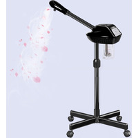 Professional Facial Steamer For Estheticians, Hot Mist & Timer Function, Stand Ozone Facial Steamer On Wheels For Spa Beauty, Home Use