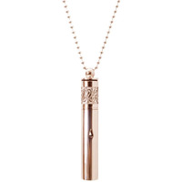 Vicusse Stainless Steel Breathing Necklace For Women & Men Essential Oil Diffuser Necklace For Anxiety (A)