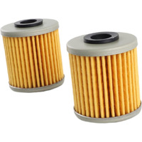 16510-16H11 Oil Filter (2Pcs) Replacement For Suzuki Outboard 4Hp 6Hp 2017-2024