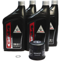 2006-2010 2012-2017 Honda Goldwing 1800 Gl1800 Oem Complete Oil Change Kit H16