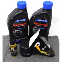 Power Performance 20W-50 Oil Change Kit For Kawasaki 49065-0724 And Fuel Treatment