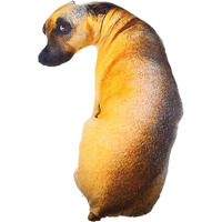 Toyvian 1Pc 3D Dog Throw Pillow 3D Simulation Plush Stuffed Animal Cushion Pillow Toy For Kids, Home, Bed, Sofa (Hound 50Cm)