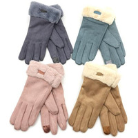 chic Vibe Suede Smart Touch gloves(D0102HE68K7)