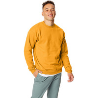 Unisex Ecosmart 5050 crewneck Sweatshirt - cARDINAL - S(D0102H7K3XP)