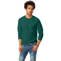 Unisex 61 oz Tagless Long-Sleeve T-Shirt - ASH - S(D0102H7K33T)