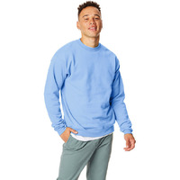 Unisex Ecosmart 5050 crewneck Sweatshirt - cARDINAL - S(D0102H7KFV2)