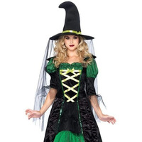 3 PC.Storybook Witch,dress with tiered glitter tulle,hat w/veil and long petticoat