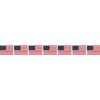 American Flag Party Tape