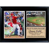 12x18 Photo Stat - Arizona Diamondbacks Paul Goldschmidt