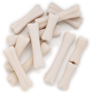 DINOSAUR BONES DISCOVERY SET