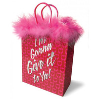 I'm Gonna Give It To Ya! Gift Bag(D0102H5QZN7.)