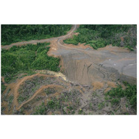 Rainforest logging activities near eastern boundary of the Kikori Delta, Papua New Guinea-Paper Art-26"x18"