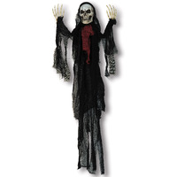 Skeleton Creepy Creature