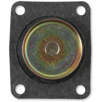 135-5 PUMP DIAPHRAM