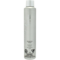 Platinum Working Spray 14 Flexible Hold Hairspray by Kenra for Unisex - 10 oz Hair Spray