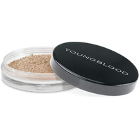Natural Loose Mineral Foundation - Honey by Youngblood for Women - 0.35 oz Foundation