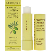 Lip Balm - Olive and Tea Tree by LErbolario for Unisex - 0.15 oz Lip Balm