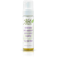 Koils by Nature Refreshing Anti Dandruff Shampoo Tea Tree Mint | 6oz | Relieves Itchy Scalp, Moisturizes Hair & Promotes Hair Growth