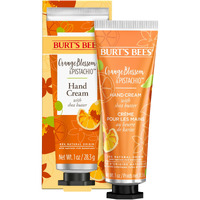 Orange Blossom and Pistachio Hand Cream by Burts Bees for Unisex - 1 oz Hand Cream