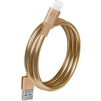 MFI LTG CHROME SPIRAL CABLE-GD