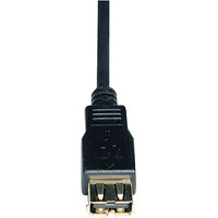 Tripp Lite USB 2.0 Hi-Speed Extension Cable (A M/F), Black , 10-ft. (U024-010)