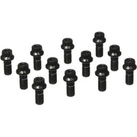 RING GEAR BOLT KIT