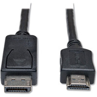 10ft Displayport HD Cbl Adptr