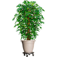 vidaXL Plant Trolley with Wheels Diameter 15.7" Black 606.3 lb