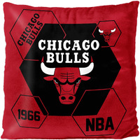 Bulls OFFIcIAL NBA connector Double Sided Velvet Pillow 16 x 16(D0102H94DQW)