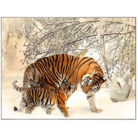Animal Tapestry Wall Decor Backdrop Tapestry Bedroom Wall Cloth Tiger Bedside Living Room Decorative Wall Art, 43x59 inch