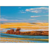 Grassland Backdrop Tapestry Landscape Bedroom Decorative Wall Tapestry Room Bedside Tapestry Painting Wall Art, 43x59 inch