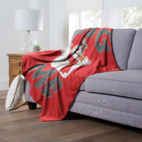 WB  Frosty the Snowman, Hug Me, Silk Touch Throw Blanket, 50x60(D0102H212BV)