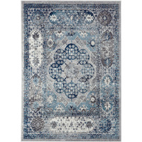 2' x 3' Gray and Blue Medallion Power Loom Area Rug