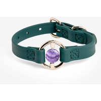 BIOTHANE-JUNgLEgREEN-cHEVAMETHYST(D0102HIJFZU)