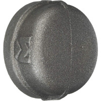 CAP 2" BLACK (Pack of 1)