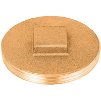 PLUG RAISED 4"BRASS (Pack of 1)