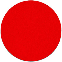 SAND DISC 5" 40 GRIT (Pack of 1)