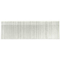 STAPLES 18GA1-1/4" (Pack of 1)