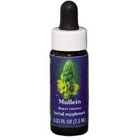 Flower Essence FES Quintessentials Mullein Supplement Dropper - 0.25 fl oz