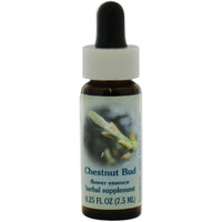 FLOWER ESSENCE SERVICES Supplement Dropper, Chestnut Bud, 0.25 Fluid Ounce